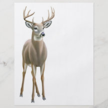 Insecte de mâle de Whitetail Prospectus En Couleur