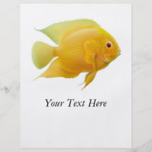 Insecte de poissons de Severum de citron Prospectus