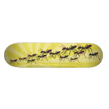 insecte-ing-fourmis plateaux de skate