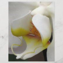 Insecte - orchidée prospectus avec motif
