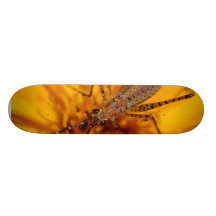 Insects On Big Orange Flower Macro Custom Skateboard