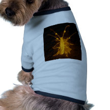 Insetos Camisas Para Caes