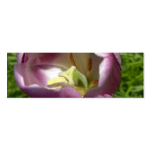 Inside a Purple Tulip MiniCard Business Card