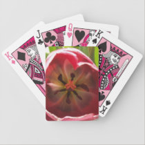 Inside a Tulip playing cards