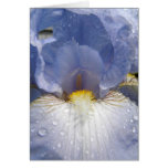 Inside Iris Card