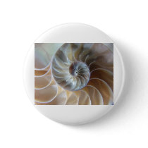 Inside Nautilus Buttons