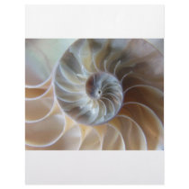Inside Nautilus Customized Letterhead