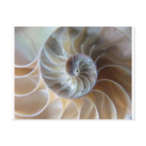 Inside Nautilus Postcards