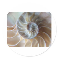 Inside Nautilus Round Sticker