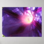 Inside the Morning Glory posters