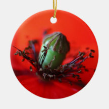 Inside the Poppy Ornamente