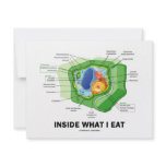 Inside What I Eat (Plant Cell Vegetarian Humor) Custom Invites