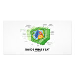 Inside What I Eat (Plant Cell Vegetarian Humor) Photo Card Template