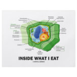 Inside What I Eat (Plant Cell Vegetarian Humour) flyers