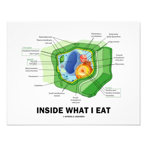 Inside What I Eat (Plant Cell Vegetarian Humour) Custom Invites
