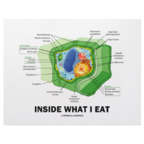 Inside What I Eat (Plant Cell Vegetarian Humour)