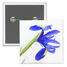 Insigne de bouton - fleur pourpre d'iris badge