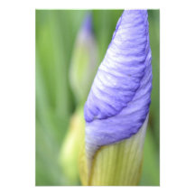 Inspirational Iris R.S.V.P. Custom Invite
