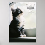 Inspirational Kitten Print