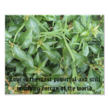INSPIRATIONAL PHOTOGRAPHIC PRINT