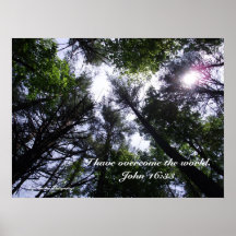 Inspirational poster I have overcome the world