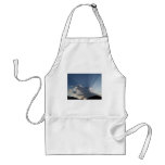 Inspirational Rays Apron