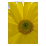 Inspirational Yellow Flower Greeting Cards