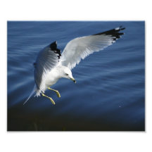 Inspire 8x10 Photo