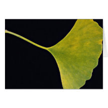 Inspiring Ginkgo leaf Greeting Card