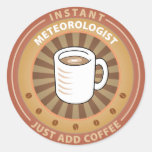 Instant Meteorologist Round Stickers