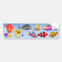 Instant Saltwater Aquarium Bumper Sticker