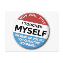 ...Instead Of Voting For Christine O'Donnell Post Card