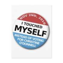 ...Instead Of Voting For Christine O'Donnell Postcard
