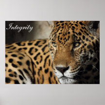 Integrity Print