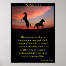 INTEGRITY Posters land 7