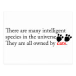 Intelligent Cats Own Us Post Cards