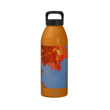 Intelligent Diversify Your Holdings Do Homework Drinking Bottles