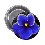 Intense Blue Violet Pins