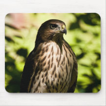 Intense Stare II Mousepad