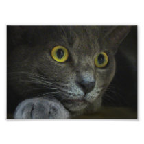 Intensity Photo Print