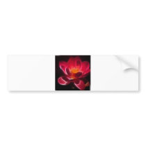 Intensive Lotus Flower
