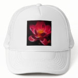 Intensive Lotus Flower hats