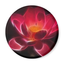 Intensive Lotus Flower