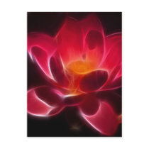 Intensive Lotus Flower