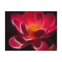 Intensive Lotus Flower