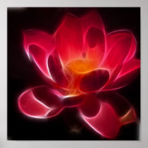 Intensive Lotus Flower