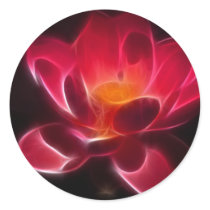 Intensive Lotus Flower