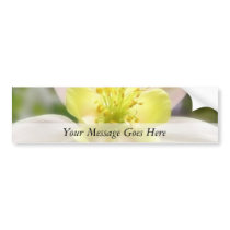 Interior Of A Delicate Columbine Bumper Sticker