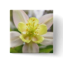 Interior Of A Delicate Columbine Pins