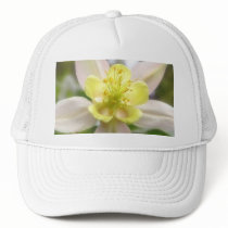 Interior Of A Delicate Columbine